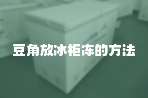 豆角放冰柜凍的方法