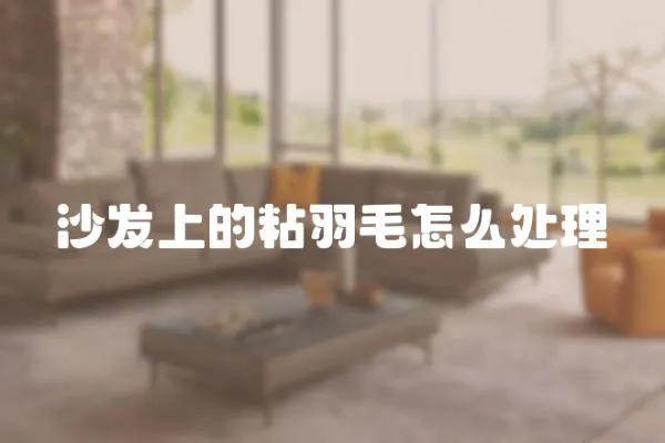 沙發(fā)上的粘羽毛怎么處理