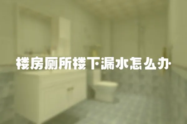 樓房廁所樓下漏水怎么辦