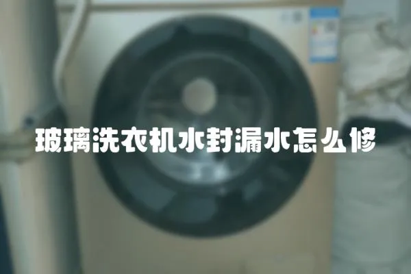 玻璃洗衣機水封漏水怎么修
