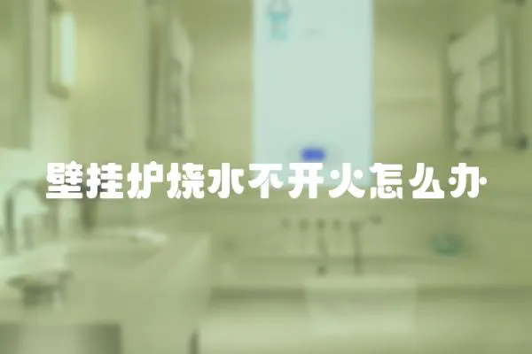 壁掛爐燒水不開火怎么辦