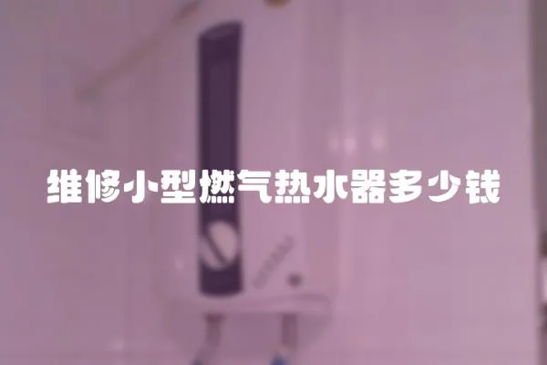 維修小型燃氣熱水器多少錢