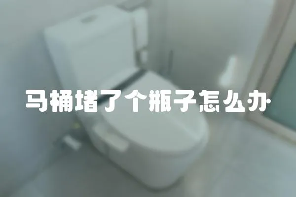 馬桶堵了個瓶子怎么辦