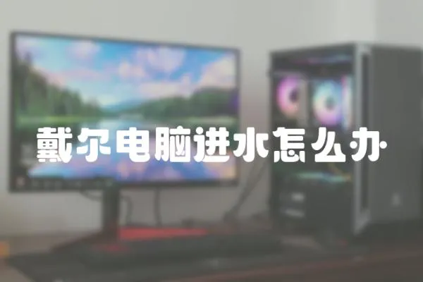 戴爾電腦進水怎么辦