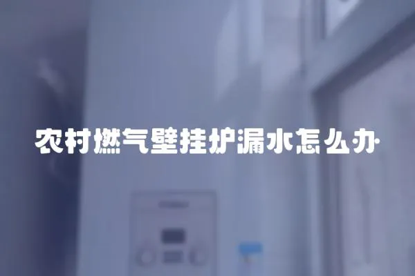 農(nóng)村燃?xì)獗趻鞝t漏水怎么辦