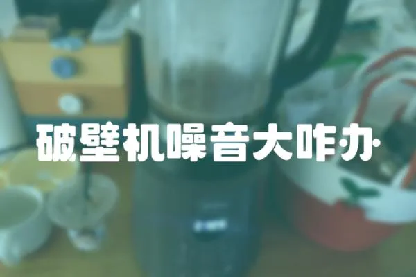 破壁機(jī)噪音大咋辦