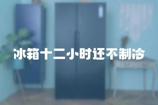 冰箱十二小時還不制冷