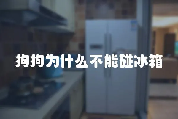 狗狗為什么不能碰冰箱