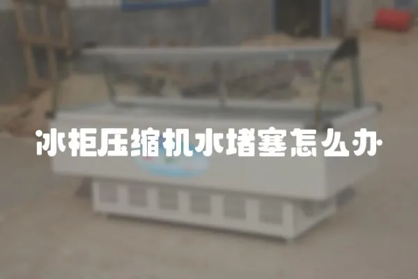 冰柜壓縮機水堵塞怎么辦