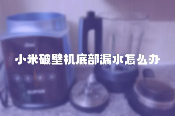 小米破壁機(jī)底部漏水怎么辦