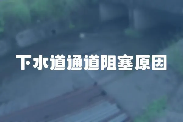 下水道通道阻塞原因