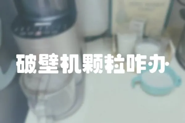 破壁機(jī)顆粒咋辦