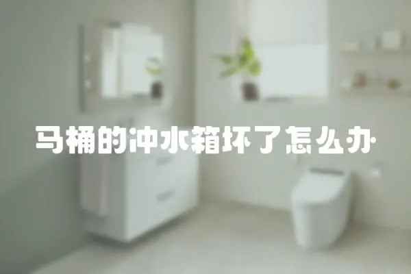 馬桶的沖水箱壞了怎么辦