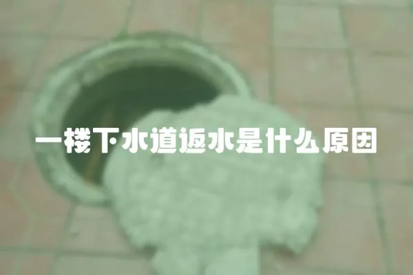 一樓下水道返水是什么原因