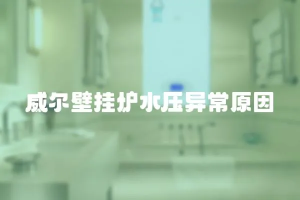 威爾壁掛爐水壓異常原因