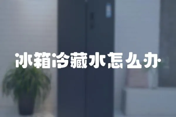 冰箱冷藏水怎么辦