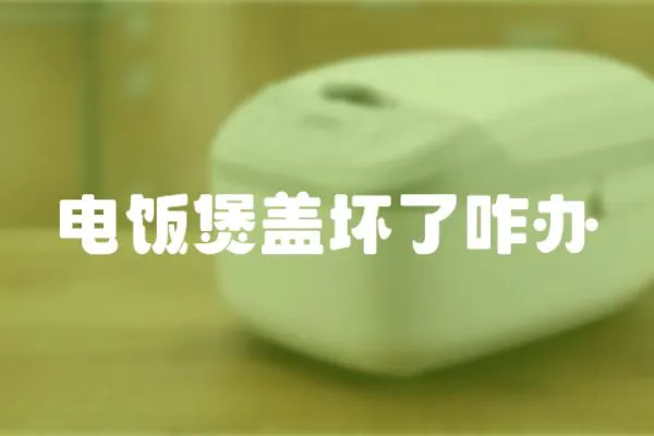 電飯煲蓋壞了咋辦