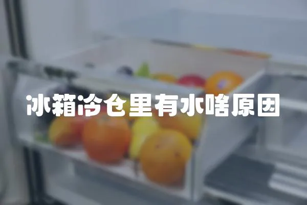 冰箱冷倉里有水啥原因