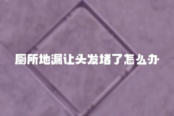 廁所地漏讓頭發堵了怎么辦