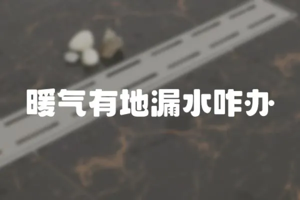 暖氣有地漏水咋辦