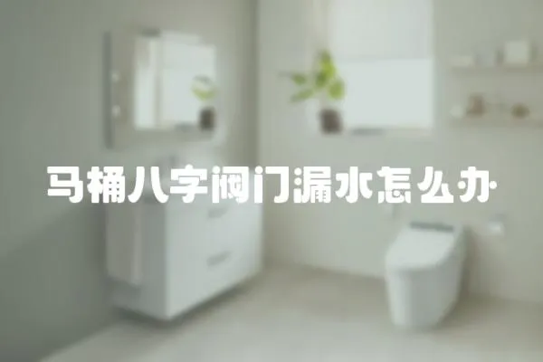 馬桶八字閥門漏水怎么辦