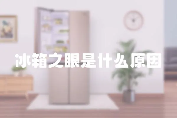 冰箱之眼是什么原因