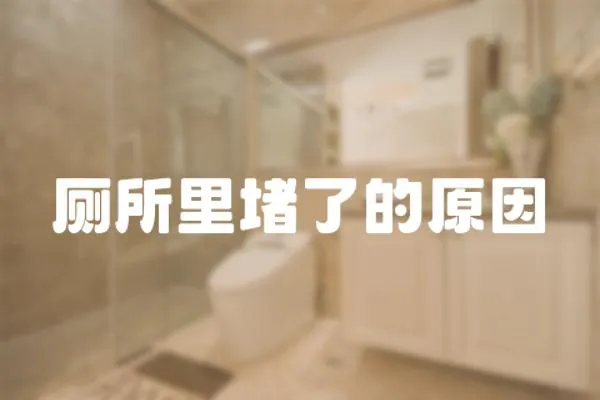 廁所里堵了的原因