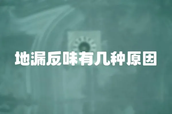 地漏反味有幾種原因