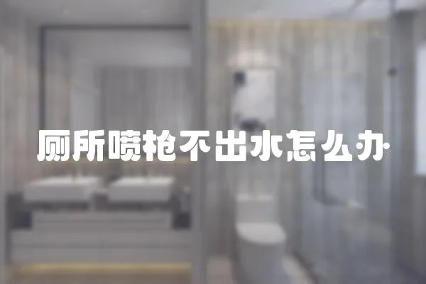 廁所噴槍不出水怎么辦