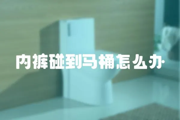 內褲碰到馬桶怎么辦