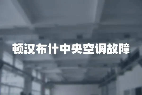 頓漢布什中央空調故障