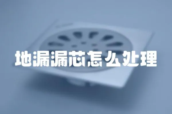 地漏漏芯怎么處理