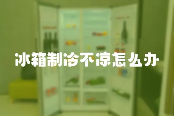 冰箱制冷不涼怎么辦