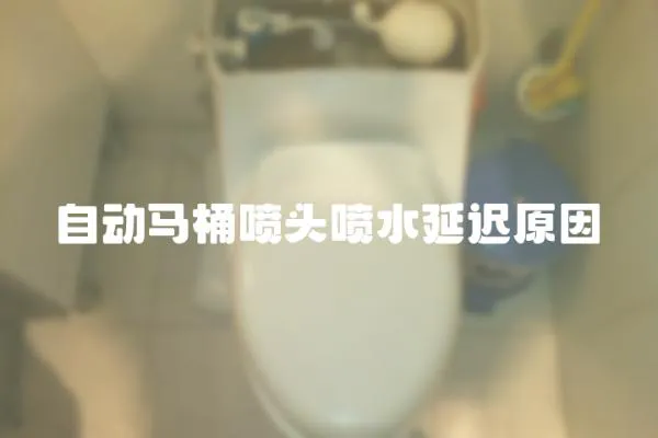 自动马桶喷头喷水延迟原因