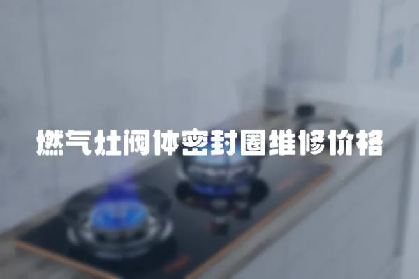 燃?xì)庠铋y體密封圈維修價(jià)格