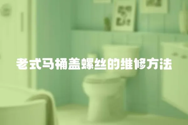 老式馬桶蓋螺絲的維修方法