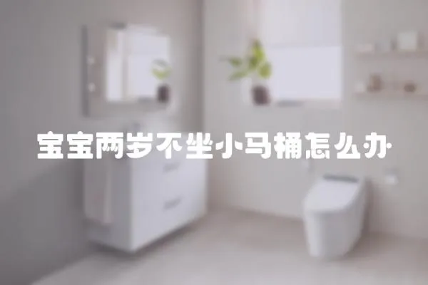 寶寶兩歲不坐小馬桶怎么辦