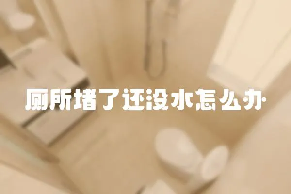 廁所堵了還沒水怎么辦