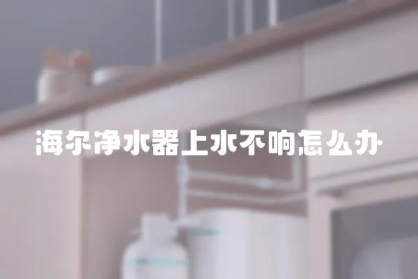 海爾凈水器上水不響怎么辦