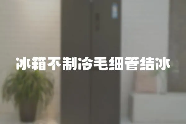 冰箱不制冷毛細管結冰