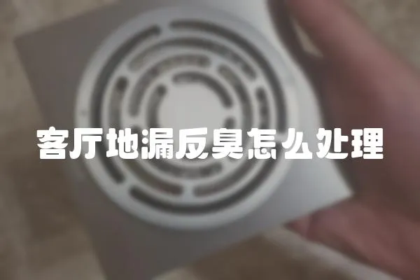 客廳地漏反臭怎么處理