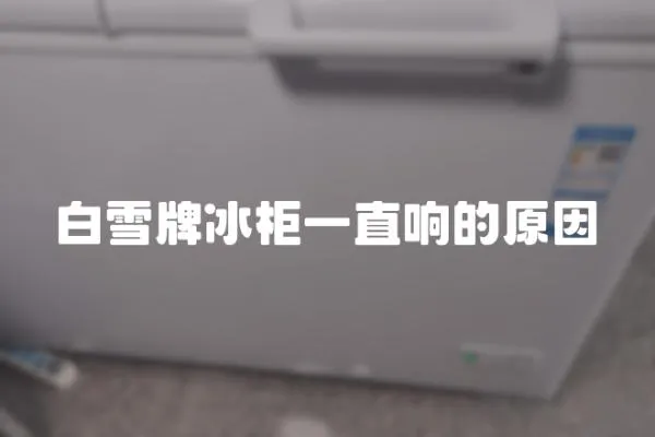 白雪牌冰柜一直響的原因