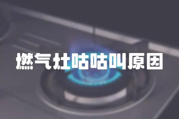 燃氣灶咕咕叫原因