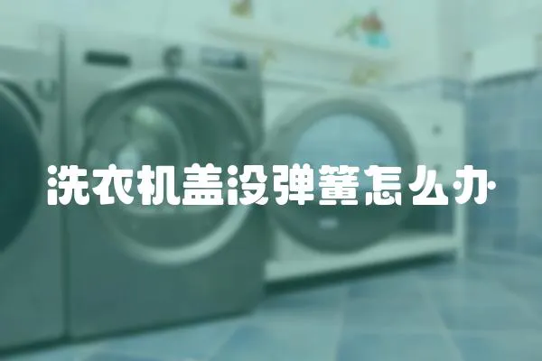 洗衣機蓋沒彈簧怎么辦