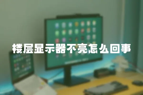 樓層顯示器不亮怎么回事