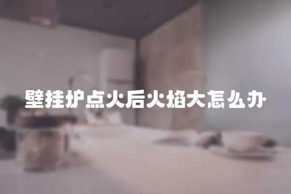 壁掛爐點火后火焰大怎么辦