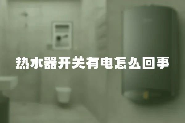 熱水器開關有電怎么回事