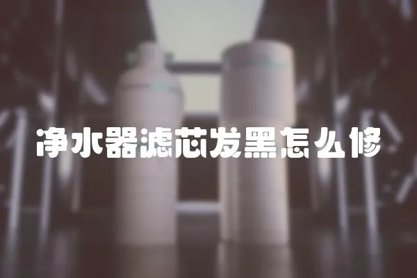 凈水器濾芯發黑怎么修