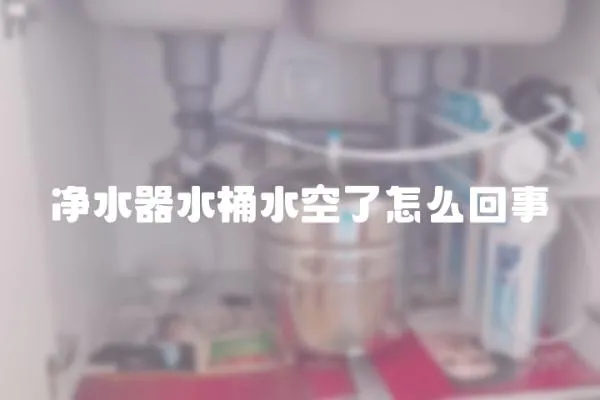 凈水器水桶水空了怎么回事