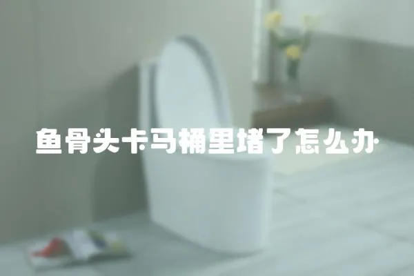 魚骨頭卡馬桶里堵了怎么辦